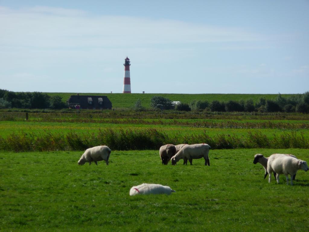 Haus Heverstrom Appartement Westerhever